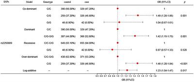 A potential relationship between MMP-9 rs2250889 and ischemic stroke susceptibility